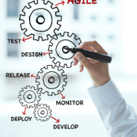 Empowering the Organization: Three Agile Strategies for a Successful Workplace